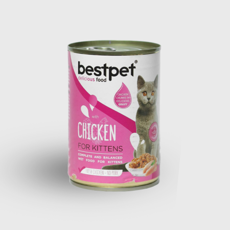 bestpet wet food chunks with chicken in gravy for kittens
