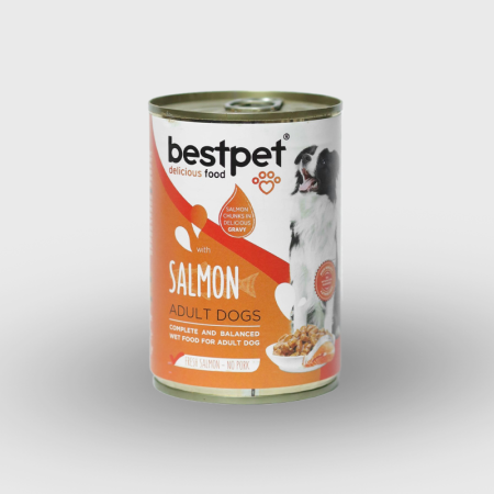 BestPet Wet Dog Food with Salmon – Complete & Balanced Nutrition for Adult Dogs (400g)