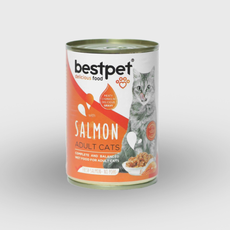 BestPet Wet Cat Food with Salmon – Complete & Balanced Nutrition for Adult Cats (400g)
